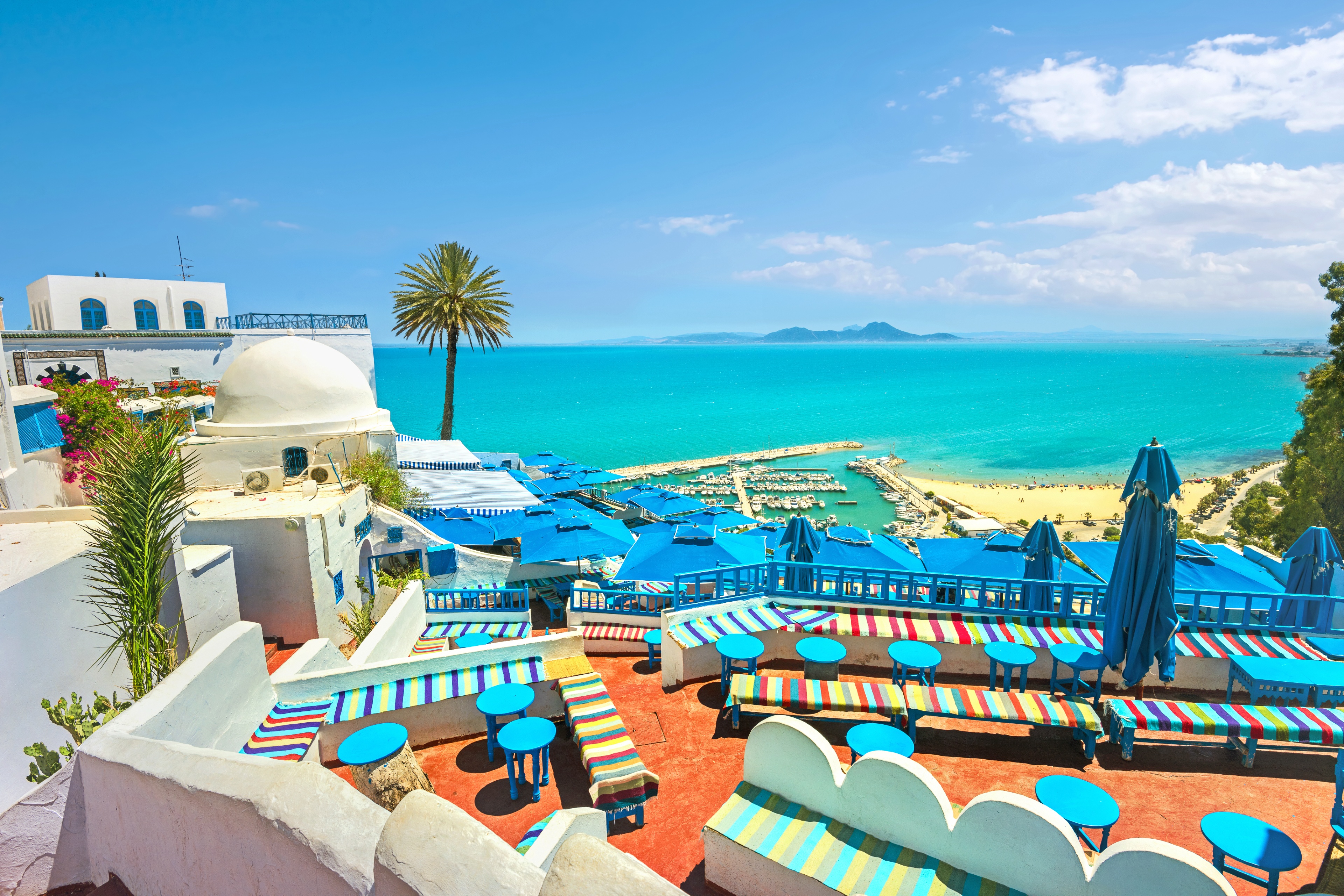 A vibrant seaside view in Tunisia